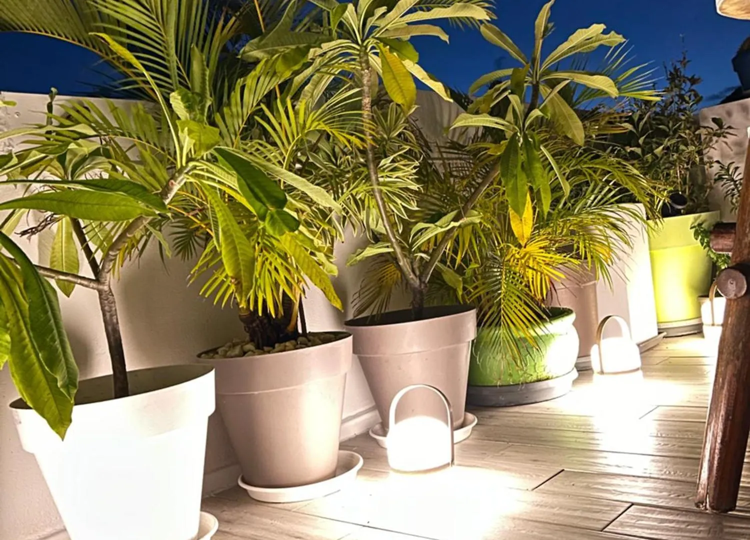 Carambola Residence, Ocean View Cul de Sac Apartment